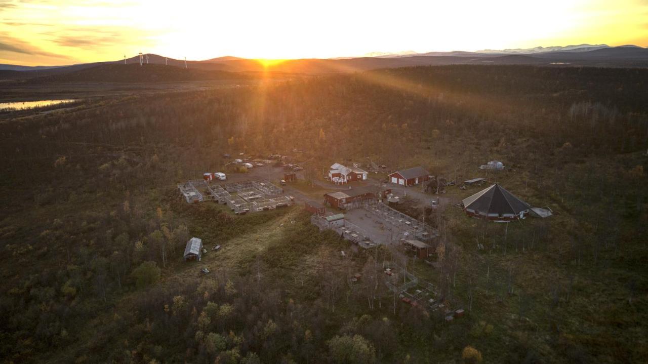 Husky Lodge Hostel Kiruna Eksteriør billede