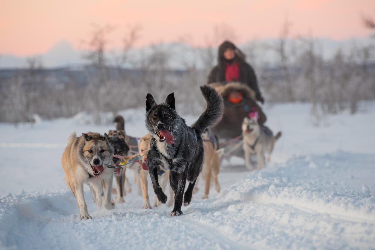 Husky Lodge Hostel Kiruna Eksteriør billede